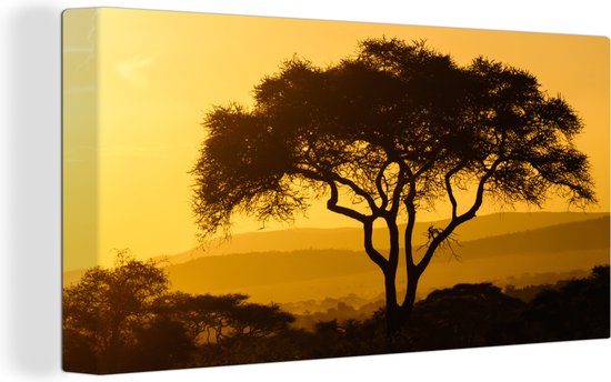 Tableau Toile Ciel jaune sur le parc national du Serengeti en Tanzanie - 160x80 cm - Décoration murale
