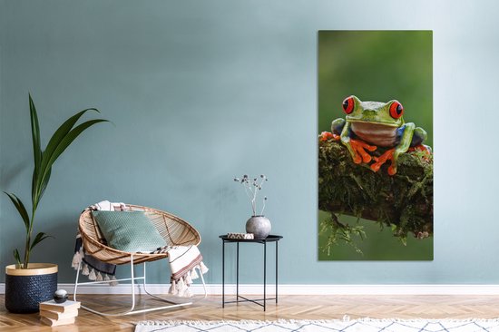 Peinture sur toile Grenouille aux yeux rouges sur une branche couverte - 80x160 cm - Décoration murale
