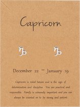 Bixorp Stars Steenbok / Capricorn Oorbellen Zilverkleurig Sterrenbeeld - Zodiac Oorknopjes