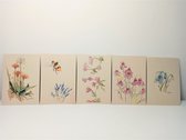 wensinkstories- serie nr 9 - set van 10 bloemenkaarten - eco vezelpapier