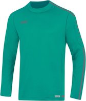 Jako - Sweater Striker 2.0 - Sweater Striker 2.0 - M - Groen