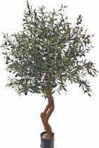 Olijfboom - Twisted - kunstplant- 3.264 bladeren - 84 olijven - 160cm - echte houten stam