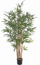 Bamboe - Lantau - kunstplant - 7 echte stammen - 8 jonge vertakte scheuten - 1.280 bladeren - 170cm - UV bestendig