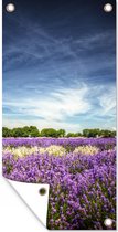 Tuinposter Paarse en witte lavendel in bloem in veld - 40x80 cm - Wanddecoratie Buiten - Tuinposter - Tuindoek - Schuttingposter - Tuinschilderij