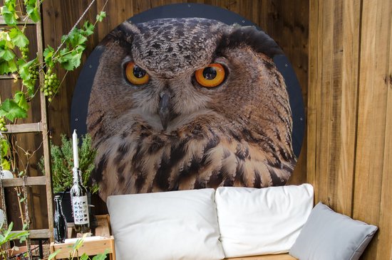 Cercle de jardin A close-up of a brown owl - 150x150 cm - Affiche de jardin ronde - Extérieur