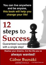 12 Steps to Success