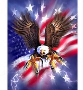 TOPMO - American Eagle - Vrolijk schilderij- 40X50CM- Diamond painting pakket - HQ Diamond Painting - VOLLEDIG dekkend - Diamant Schilderen - voor Volwassenen – ROND