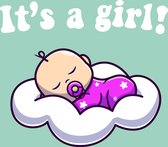 Raamsticker geboorte 'It's a girl!' | 120x100cm | Herbuikbaar!