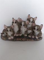 Katten beeldjes 5 grijze katten op een rij zeer lief van Clayre&Eef 18x32x12 cm