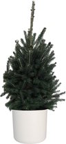 Kerstboom Picea glauca Super Green in ELHO b.for soft rond sierpot (wit) ↨ 70cm - hoge kwaliteit planten