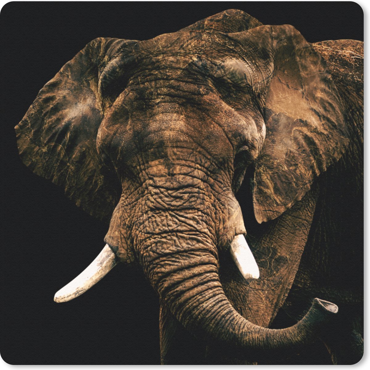 Muismat 20x20 cm - Mousepad Olifant - Bruin - Tanden - Muismatten