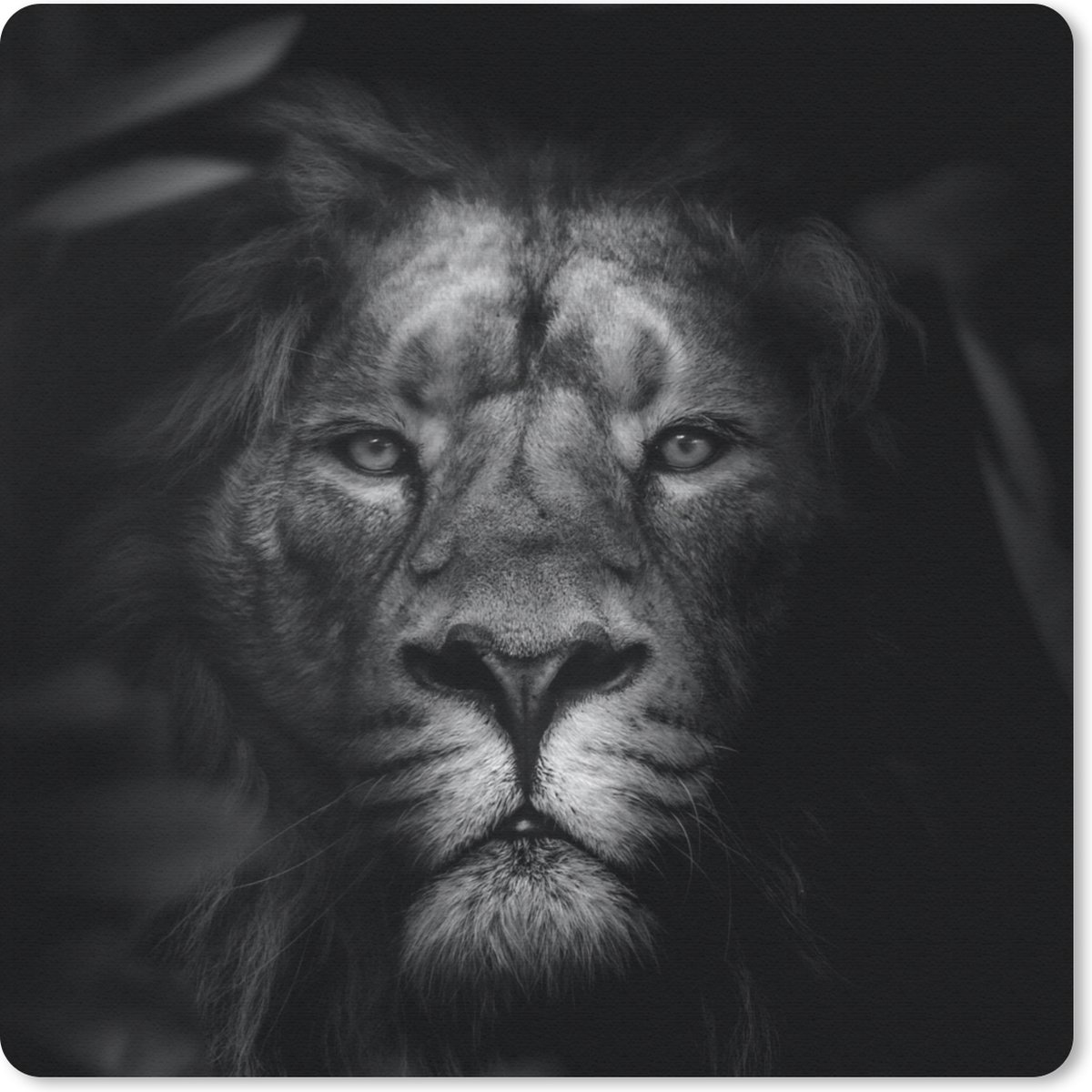 Muismat 20x20 cm - Mousepad Dieren - Leeuw - Wilde dieren - Zwart - Wit - Muismatten