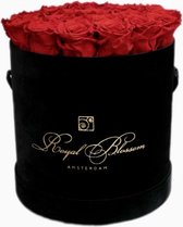 ROYALBLOSSOM - ROOD Amore Long Life Rozen 21 Stuks | Flowerbox | Amore Rozen tot 3 jaar houdbaar | Rozen in doos | Doos met rozen | Valentijnsdag | Moederdag | Kerst | Huwelijkscadeau | Bruil