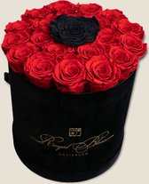 ROYALBLOSSOM - Amore Long Life Rozen 22 Stuks | Flowerbox | Amore Rozen tot 3 jaar houdbaar | Rozen in doos | Doos met rozen | Valentijnsdag | Moederdag | Kerst | Huwelijkscadeau | Bruiloft |