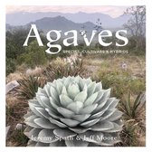 Agaves: