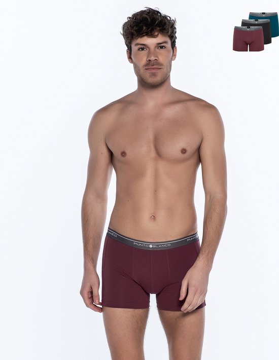 Punto Blanco Basix - Biancheria Intima, Multicolore, Grande