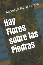Hay Flores sobre las Piedras