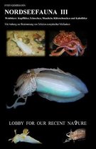 Nordseefauna III: Weichtiere