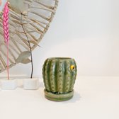 waxbrander - cactus mosgroen-geurbrander-waxmelts/aromabrander/oliebrander-woonaccessoire - geurbranders/waxbranders -Hip style