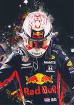 Max Verstappen Wereldkampioen 2021 - Metalen poster/bordje (20-30cm) Formule 1 - F1 - Red Bull - Red Bull Racing - RedBull - F12021