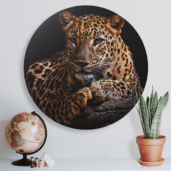 Artaza Cercle Mural en Bois - Léopard aux Yeux Bleus - Ø 40 cm - Klein - Cercle Mural en Contreplaqué - Peinture Ronde