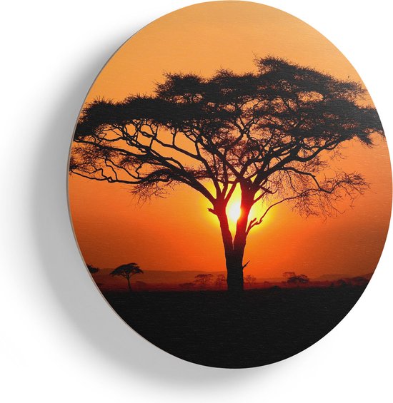 Cercle Mural en Bois Artaza - Coucher de Soleil Derrière Un Arbre de Savane - Ø 40 cm - Klein - Cercle Mural en Contreplaqué - Tableau Rond