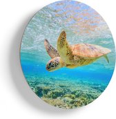 Artaza Houten Muurcirkel - Schildpad Zwemt in de Zee bij het Rif - Ø 60 cm - Multiplex Wandcirkel - Rond Schilderij