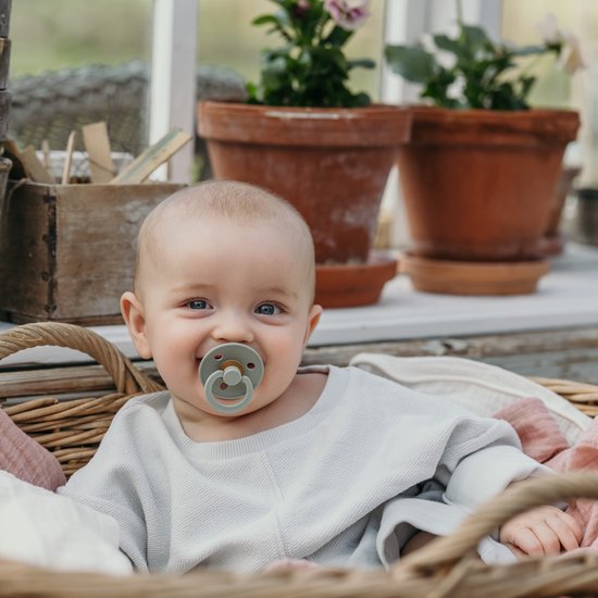 BiBS - Colour Pacifier - Stage 1 Fopspeen - 0+ maanden - 2 stuks - Sage / Cloud van BIBS — afbeelding 3