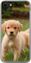 Geschikt voor iPhone SE 2020 hoesje - Golden Retriever pup in het groene gras - Siliconen Telefoonhoesje