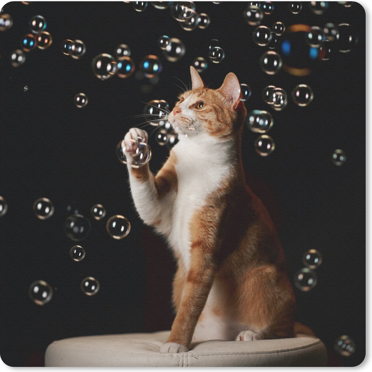 Muismat 20x20 cm - Mousepad Rode kat met bubbels - Muismatten