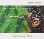 Haydn Kammermusik