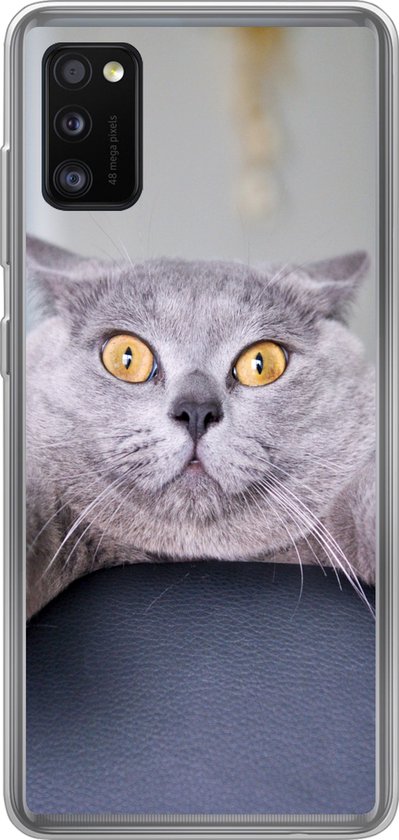 Coque Samsung Galaxy A41 - Chat - Bang - Chaise - Siliconen - Noël - Cadeaux - Cadeaux chaussures