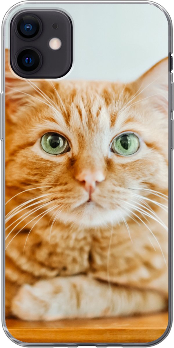 Telefoonhoesje Geschikt voor iPhone 12 mini hoesje - Kat - Hout - Kast - Siliconen Telefoonhoesje Telefoonhoesje