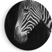 Artaza Dibond Muurcirkel Zebra Kop Vanaf De Zijkant - Zwart Wit - Ø 70 cm - Wandcirkel - Rond Schilderij - Voor Binnen en Buiten