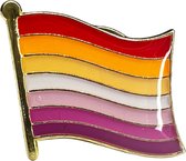 LGBTIQ + Pride Lesbisch Gay Kledingspeld Enamel Emaille Pin Badge Reverse Broche