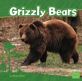 Bears - Grizzly Bears