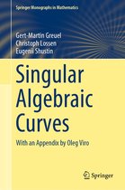 Springer Monographs in Mathematics - Singular Algebraic Curves