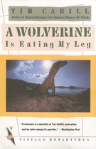 Vintage Departures - A Wolverine Is Eating My Leg