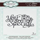 Creative Expressions Expressions Dies - YOU ARE SPECIAL