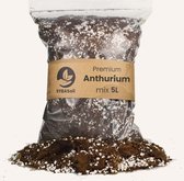 SYBASoil Anthurium mix 5L - Turfvrije Potgrond Mix - 6 Maanden Voeding
