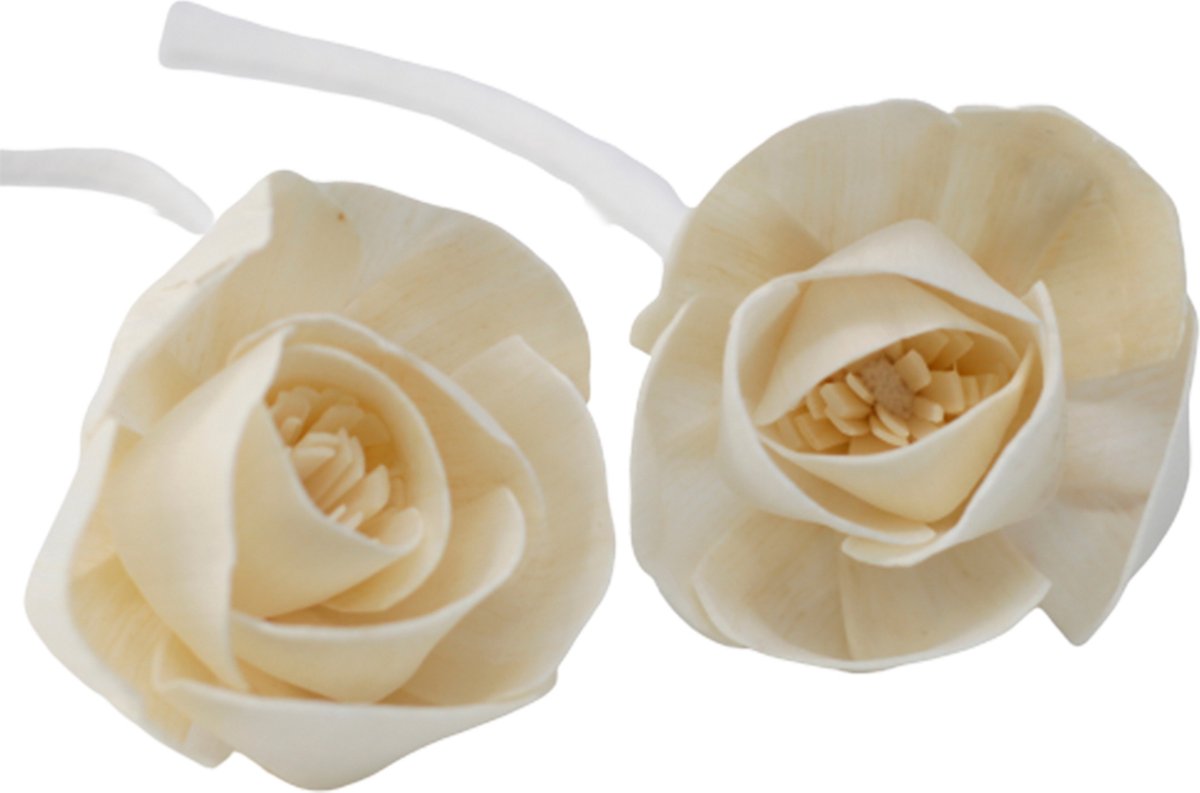 12 x Natuurlijke diffuserbloemen - Grote roos aan touwtje