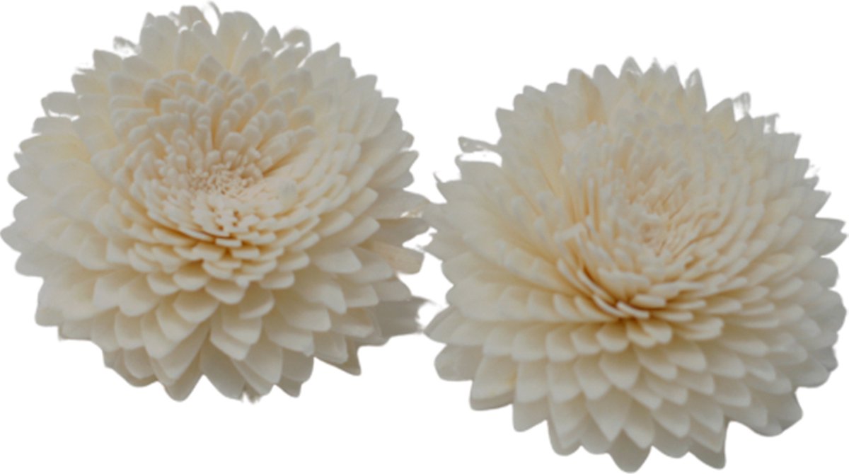 Natuurlijke Diffuser Bloemen - Grote Anjer aan Touw - Set van 4