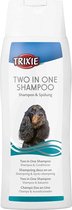 SHAMPOO 2-IN1 250ML