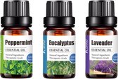 Etherische Olie Set | Pepermunt olie + Eucalyptus olie + Lavendel olie Bundel | 3x Essentiële Oliën voor Aromatherapie | Sauna en Bad | Aroma Diffuser Olie (30 ml)