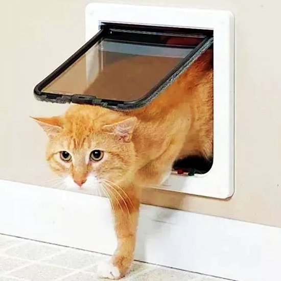 Afsluitbare toegang voor huisdieren met slot,Kittenluik binnen