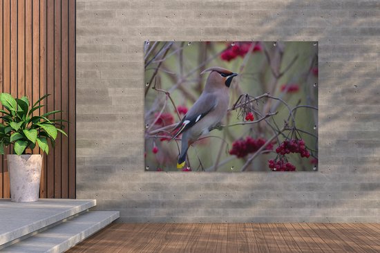Muurdecoratie buiten Pestvogel in een bessenstruik - 160x120 cm - Tuindoek - Buitenposter