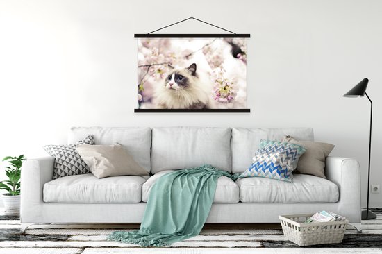 Affiche textielposter Un chat Ragdoll parmi les fleurs roses 120x80 cm