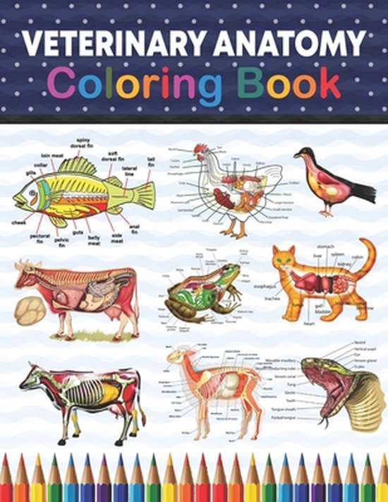 Veterinary Anatomy Coloring Book - cover