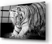 Insigne Glazen Schilderijen - Dieren - Tijger - Glasschilderij - 72x46 cm - 4 mm