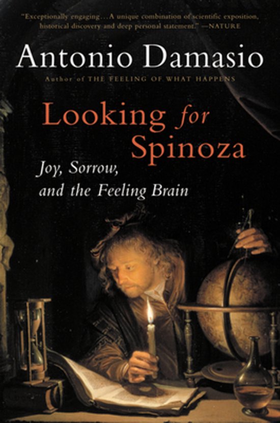 Looking for Spinoza - cover